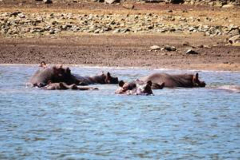 Hoedspruit: Blyde Dam Boat Cruise Blyde River Canyon: Blyde Dam Boat Cruise
