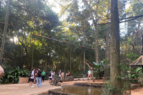 Foz do Iguaçu: Falls, Bird Park, & Three Borders Tour