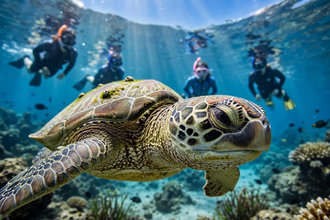Coron - Busuanga: Dugong & Turtle Snorkeling Tour with Lunch Private Tour