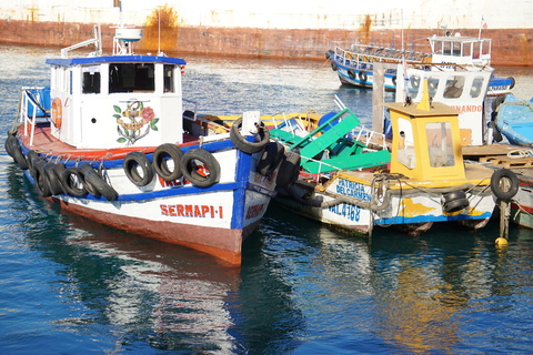 Valparaíso: Historical Walking Tour with Local Guide