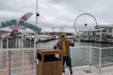 Miami Combo: Everglades Adventure and Sightseeing Tour Combo - Downtown Miami pickup