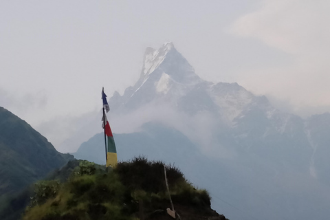 Pokhara: Mardi Himal Trek with Chitwan National Park Tour