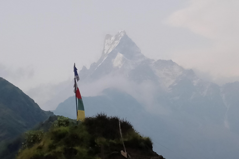 Pokhara: Mardi Himal Trek with Chitwan National Park Tour