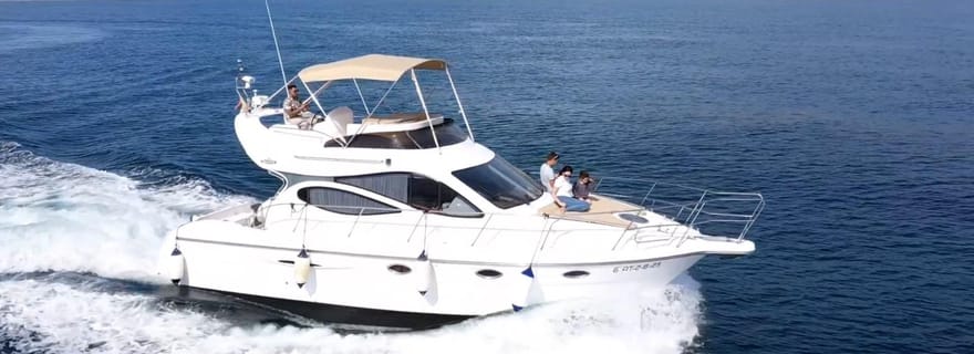 Fuengirola : 2 heures d'excursion de luxe en yacht pour observer les dauphins, boissons et collations incluses.