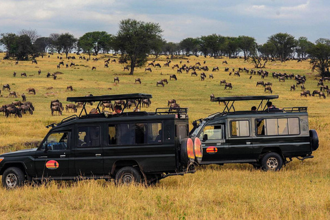 4 Tage Selous, Tarangire und Serengeti Wildtier-Safari.