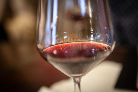 Mezzocorona: Teroldego Vineyard Tour and Wine Tasting Italian