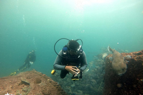 Salalah: Scuba Diving Discover Oman’s hidden underwater gems