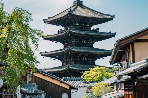 Osaka: Excursión de un día a Kioto en Shinkansen - Perfecto para cruceros