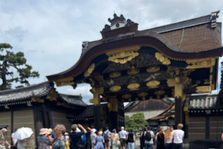 كيوتو/نارا: جولة عائلية ممتعة وثقافية بالسيارة مع خدمة التوصيل من الفندق