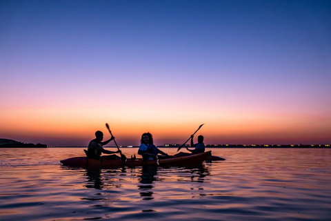 Doha: Prive kajakavontuur in de mangroven van Purple Island