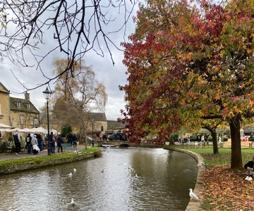 From London: Cotswolds Day Trip