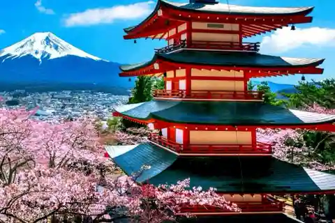 From Tokyo: Mount Fuji Full Day Customizable Private Tour