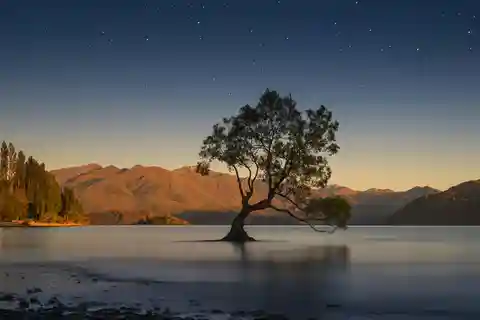 Excursão de Queenstown a Franz Josef via Wānaka (só ida)