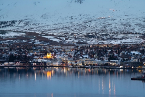 Akureyri: Arctic Coastline & Whale Watching Arctic Coastline & Whale Watching