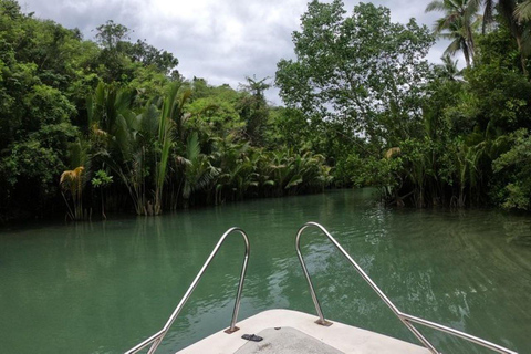 Cebu: Mantayupan Falls, Hermit's Cove & Bojo River Eco Tour Private Tour 1-4 Participants