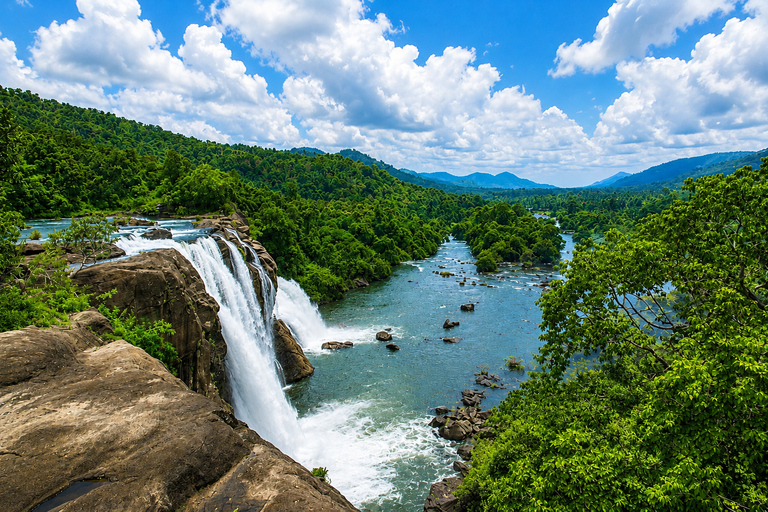 From Kochi: Athirappilly Waterfalls Experience with Brunch