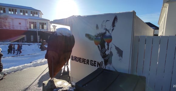 Private Tour durch die Berge Bergen wie ein Einheimischer