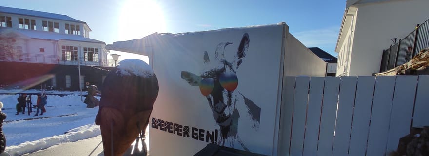 Visite privée des montagnes de Bergen comme un local