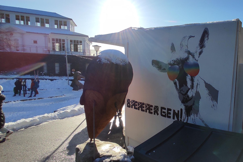 Visite privée des montagnes de Bergen comme un local