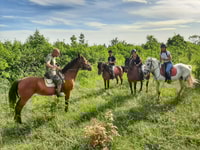 From Belgade, Mtn. Kosmaj Horse riding & hike Full-Day Tour - Housity