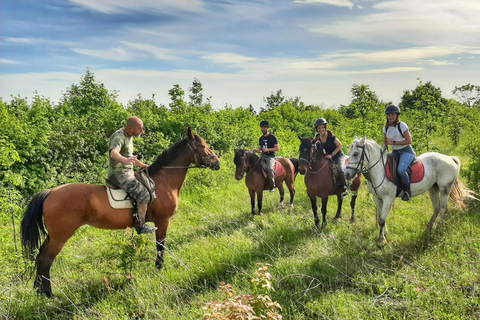 Desde Belgade: Mtn. Kosmaj Excursión de un día a caballo y a pieDesafía la aventura : Excursión de día completo a caballo y senderismo