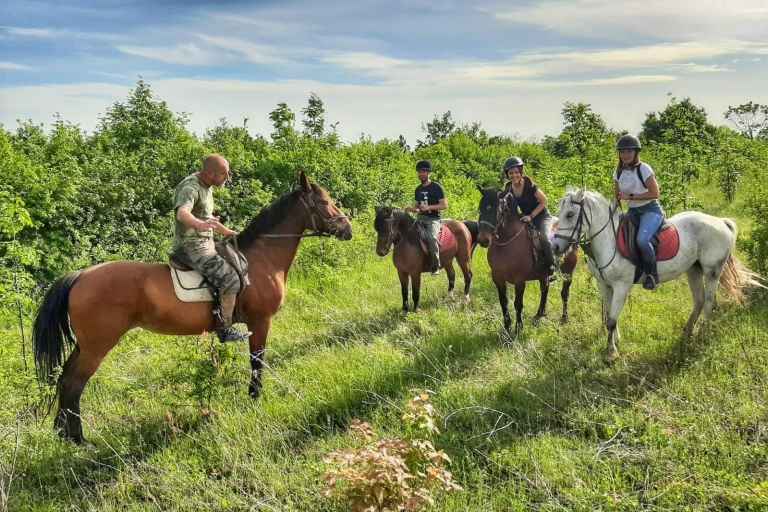 Depuis Belgade : Mtn. Kosmaj - Randonnée à cheval et excursion d'une journéeDéfiez l'aventure : randonnée à cheval et randonnée pédestre à la journée