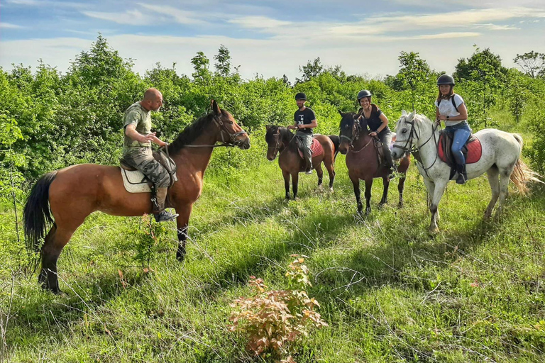 Depuis Belgade : Mtn. Kosmaj - Randonnée à cheval et excursion d'une journéeDéfiez l'aventure : randonnée à cheval et randonnée pédestre à la journée