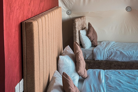 Wadi Rum: Desert Camp Tour With Jeep Safari And Star Gazing: