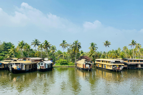 6 Day Kerala with Munnar, Thekkady & Alleppey: From Cochin