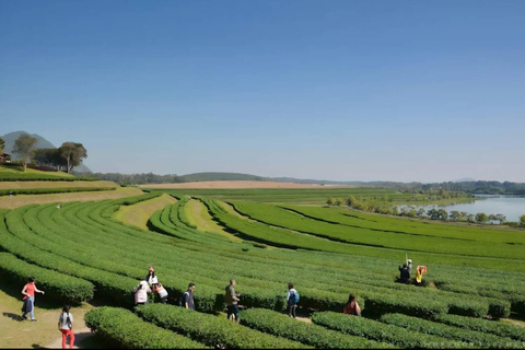 Descobre Chiang Rai: templos, arte e natureza cénicaDiscover Chiang Rai: Temples, Art, and Scenic Nature