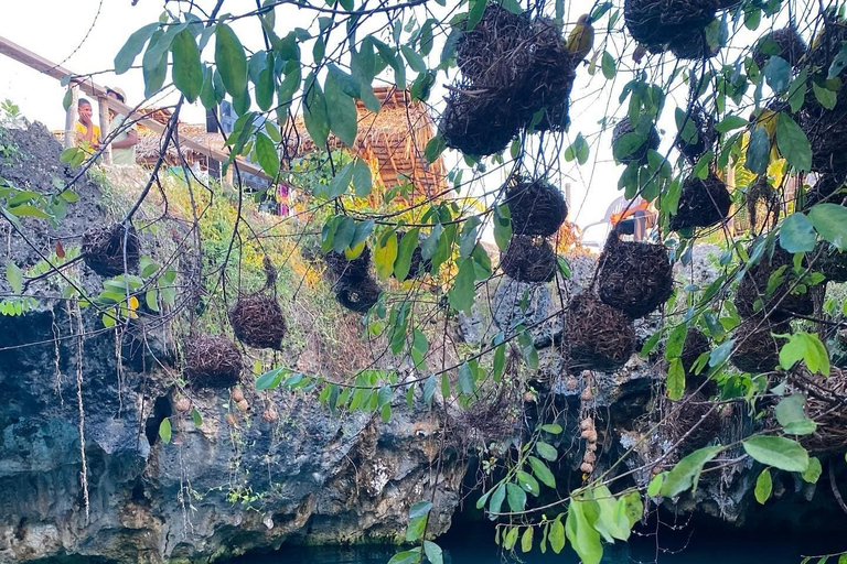 Zanzibar: Jozani Forest, Salaam & Maalum Caves and Sunset