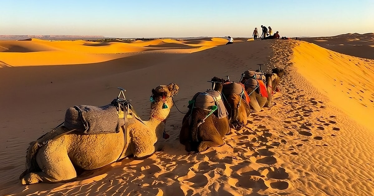 Fès: 2 Days Desert Trip to Merzouga (1 Night), Return to Fès | GetYourGuide