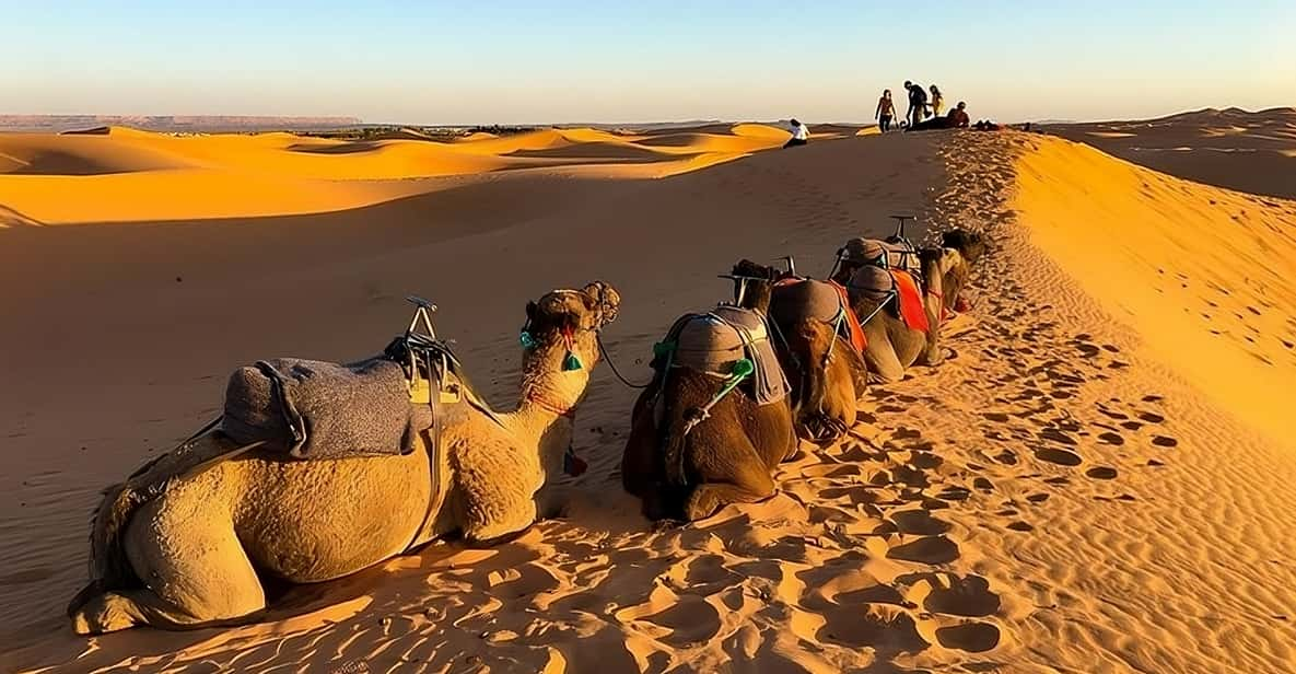 F S Excursion De Jours Dans Le D Sert Merzouga Nuit Retour