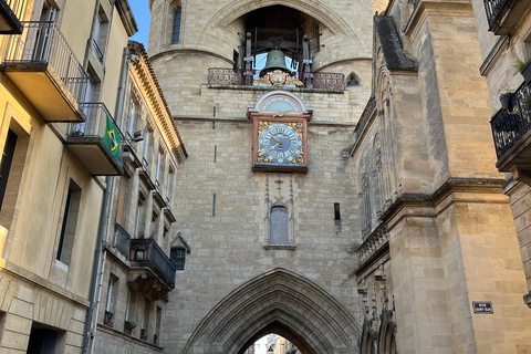 Bordeaux: Dark History Walking Tour with Local Guide El lado oscuro de Burdeos | Asesinatos, misterios y secretos