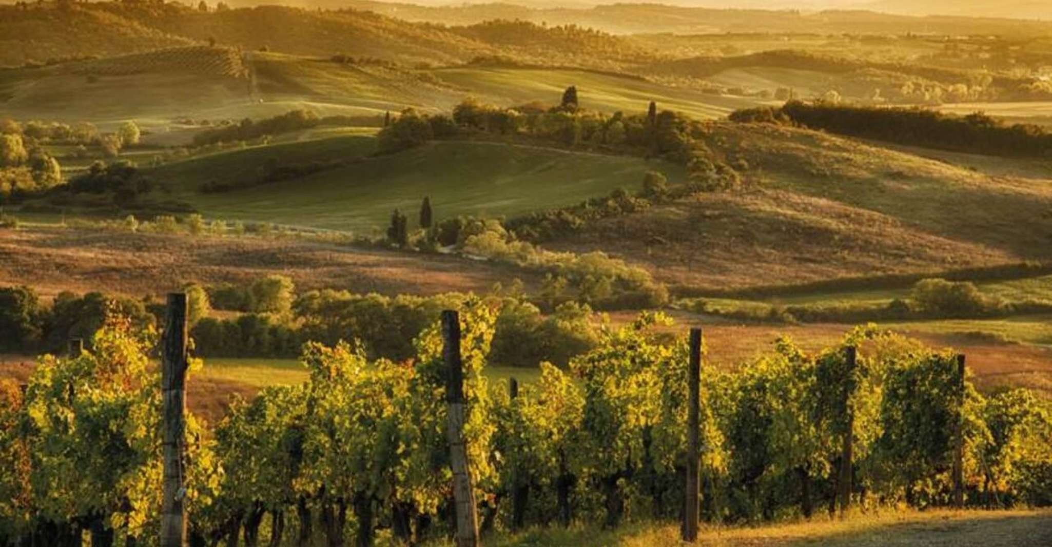 From Siena, Chianti and Castles Tour with Wine Tastings - Housity