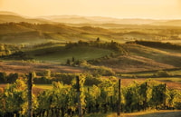 Van Siena, Chianti en Castles Tour met wijnproeverijen - Housity