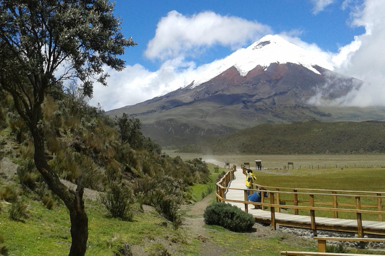 Route to Cotopaxi: Snow, Adventure, Altitude & Páramo Picnic