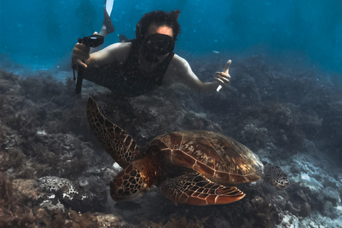 Cebu: Oslob Whaleshark Watching Canyoneering odbiór prywatny