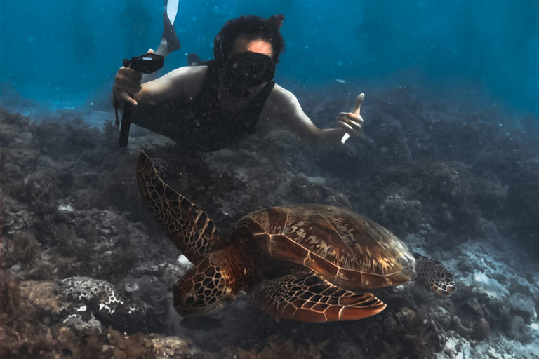 Cebu: Oslob Whaleshark Watching Canyoneering private pick up