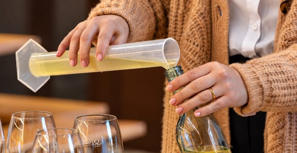 Ab Porto: Kreiere deinen eigenen Vinho Verde – private Halbtagestour