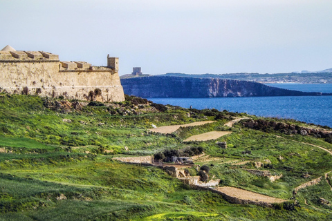 Malta: 9 Bays Cruise with Traditional Ftira and Transport