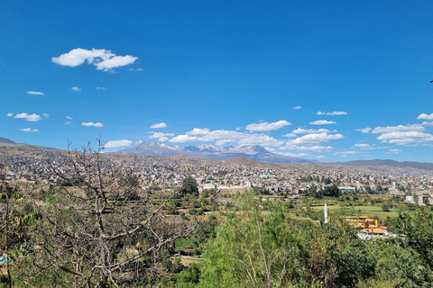 Yoga & Nature Experience – discover the green Arequipa Yoga & Nature Experience - discover the green Arequipa