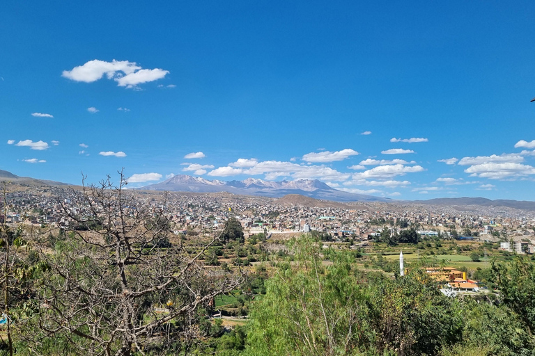 Yoga & Nature Experience – discover the green Arequipa Yoga & Nature Experience - discover the green Arequipa