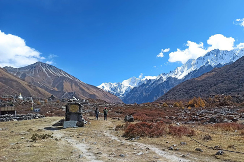 Au départ de Katmandou : Trek de 5 jours dans la vallée de Langtang pour une exploration de la nature