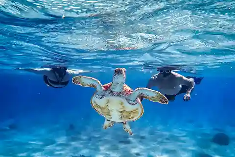 Bonaire: VIP privétour Eiland & Snorkelen - Zuidkant