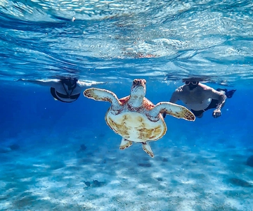 Bonaire: VIP Private Island & Snorkeling Tour - South Side