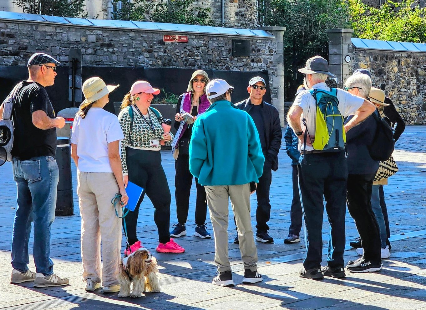 Montreal: Topbedømt byvandring i små grupper i det gamle Montreal