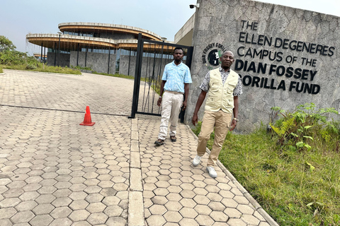 1 giorno di trekking con i gorilla e il centro di ricerca di Karisoke, Volcanoes NP