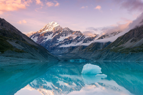 Christchurch : Aoraki/Mt Cook Day Trip with Trotts Garden