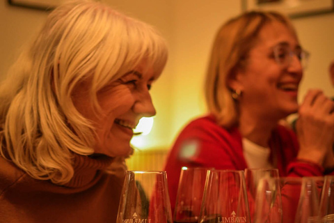 Evening Essential Bratislava Tour & Wine Tasting from Vienna